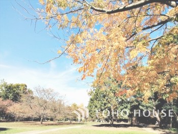 apartment 東京都杉並区阿佐谷南１丁目47-24 KDXレジデンス1F