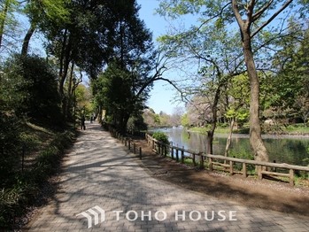 apartment 東京都杉並区阿佐谷南１丁目47-24 KDXレジデンス1F