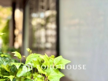 apartment 東京都杉並区阿佐谷南１丁目47-24 KDXレジデンス1F