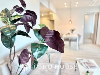 apartment 東京都杉並区阿佐谷南１丁目47-24 KDXレジデンス1F