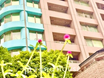 apartment 東京都杉並区阿佐谷南１丁目47-24 KDXレジデンス1F