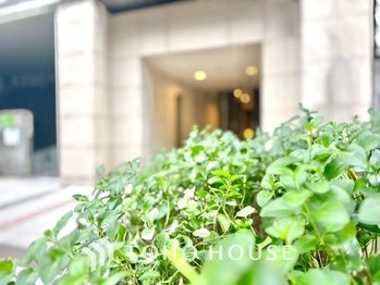 apartment 東京都杉並区阿佐谷南１丁目47-24 KDXレジデンス1F