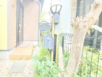 detached 東京都杉並区阿佐谷南１丁目47-24 KDXレジデンス1F