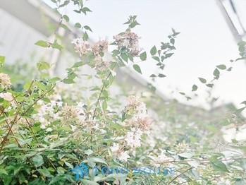 apartment 東京都杉並区阿佐谷南１丁目47-24 KDXレジデンス1F