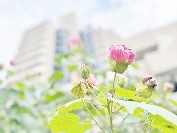 apartment 東京都杉並区阿佐谷南１丁目47-24 KDXレジデンス1F