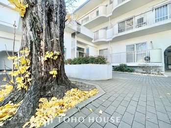 apartment 東京都杉並区阿佐谷南１丁目47-24 KDXレジデンス1F