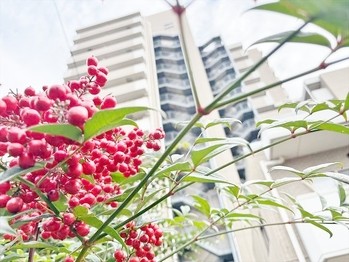 apartment 東京都杉並区阿佐谷南１丁目47-24 KDXレジデンス1F