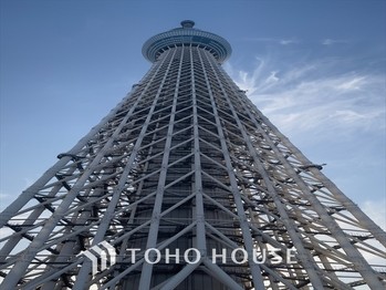 apartment 東京都杉並区阿佐谷南１丁目47-24 KDXレジデンス1F