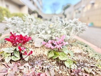 apartment 東京都杉並区阿佐谷南１丁目47-24 KDXレジデンス1F