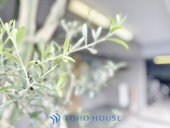 apartment 東京都杉並区阿佐谷南１丁目47-24 KDXレジデンス1F