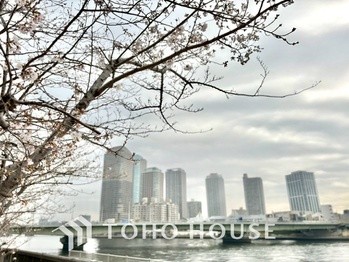 apartment 東京都杉並区阿佐谷南１丁目47-24 KDXレジデンス1F