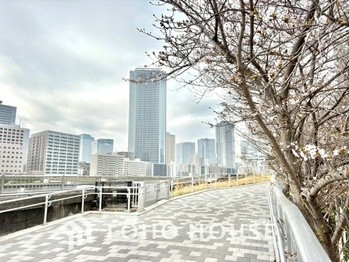 apartment 東京都杉並区阿佐谷南１丁目47-24 KDXレジデンス1F