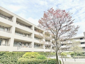 apartment 東京都杉並区阿佐谷南１丁目47-24 KDXレジデンス1F