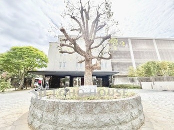 apartment 東京都杉並区阿佐谷南１丁目47-24 KDXレジデンス1F