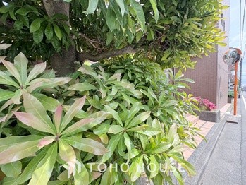 apartment 東京都杉並区阿佐谷南１丁目47-24 KDXレジデンス1F