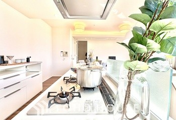 apartment 東京都杉並区阿佐谷南１丁目47-24 KDXレジデンス1F