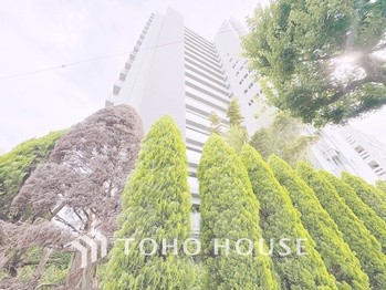 apartment 東京都杉並区阿佐谷南１丁目47-24 KDXレジデンス1F
