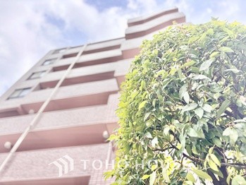 apartment 東京都杉並区阿佐谷南１丁目47-24 KDXレジデンス1F
