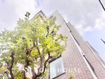 apartment 東京都杉並区阿佐谷南１丁目47-24 KDXレジデンス1F