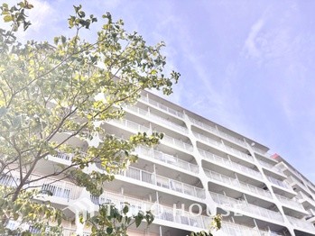 apartment 東京都杉並区阿佐谷南１丁目47-24 KDXレジデンス1F