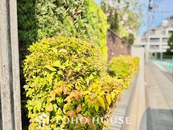 apartment 東京都杉並区阿佐谷南１丁目47-24 KDXレジデンス1F