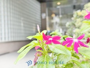 apartment 東京都杉並区阿佐谷南１丁目47-24 KDXレジデンス1F