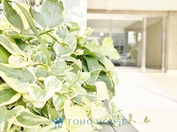 apartment 東京都杉並区阿佐谷南１丁目47-24 KDXレジデンス1F