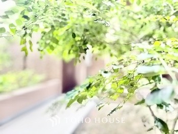 apartment 東京都杉並区阿佐谷南１丁目47-24 KDXレジデンス1F