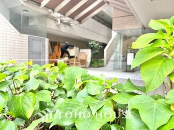 apartment 東京都杉並区阿佐谷南１丁目47-24 KDXレジデンス1F