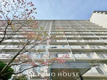 apartment 東京都葛飾区新小岩１丁目51-18 第2クレールパル