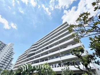 apartment 東京都葛飾区新小岩１丁目51-18 第2クレールパル