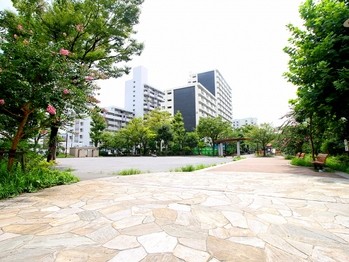 apartment 東京都葛飾区新小岩１丁目51-18 第2クレールパル