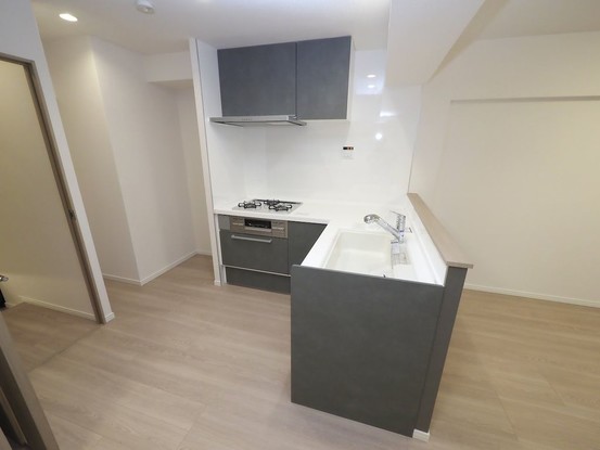 apartment 東京都港区南青山５丁目6番19号 MA5