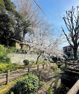 detached 埼玉県川口市大字芝4438-1