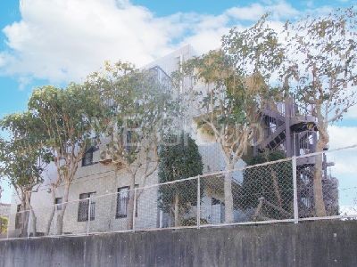 apartment 埼玉県さいたま市浦和区神明２丁目12-10
