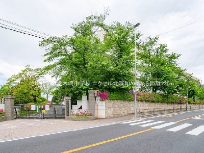 apartment 埼玉県さいたま市浦和区瀬ヶ崎２丁目
地図を見る
