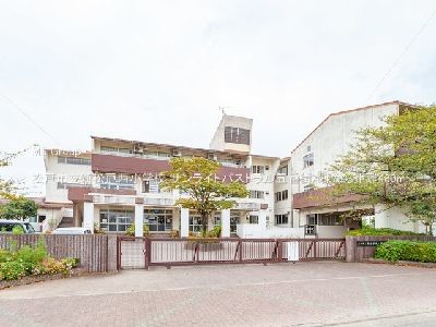 apartment 埼玉県さいたま市浦和区神明２丁目12-10