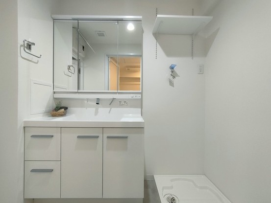 apartment 埼玉県さいたま市見沼区東大宮５丁目31-9 NYビル