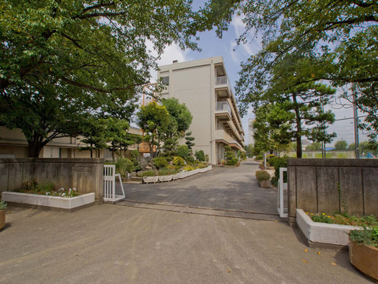 apartment 埼玉県さいたま市見沼区東大宮５丁目31-9 NYビル