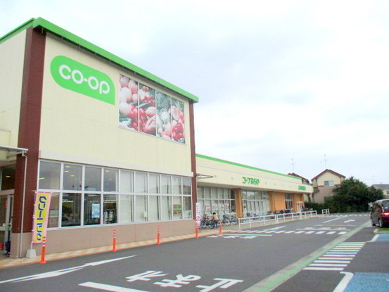 apartment 埼玉県さいたま市見沼区東大宮５丁目31-9 NYビル