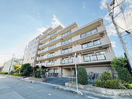 apartment 埼玉県さいたま市見沼区東大宮５丁目31-9 NYビル