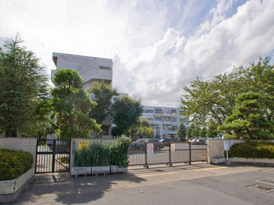 apartment 埼玉県さいたま市見沼区東大宮５丁目31-9 NYビル