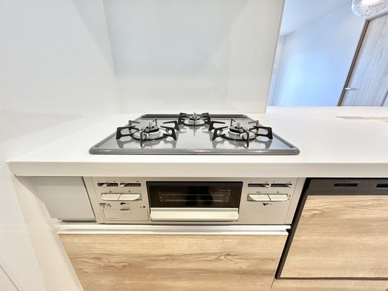 apartment 埼玉県さいたま市見沼区東大宮５丁目31-9 NYビル