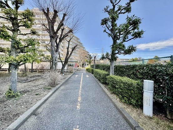 apartment 埼玉県さいたま市見沼区東大宮５丁目31-9 NYビル