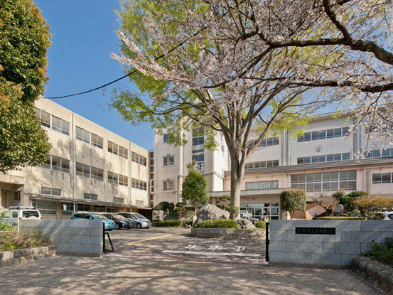 apartment 埼玉県さいたま市見沼区東大宮５丁目31-9 NYビル