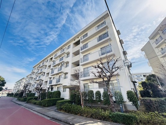 apartment 埼玉県さいたま市見沼区東大宮５丁目31-9 NYビル