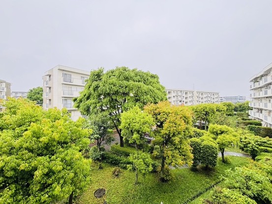 apartment 埼玉県さいたま市見沼区東大宮５丁目31-9 NYビル