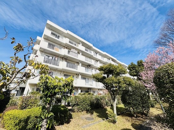 apartment 埼玉県さいたま市見沼区東大宮５丁目31-9 NYビル