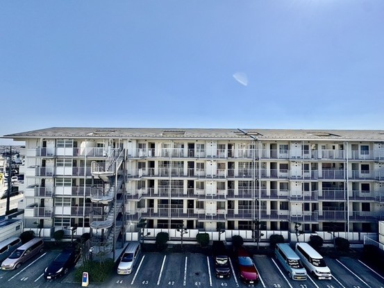 apartment 埼玉県さいたま市見沼区東大宮５丁目31-9 NYビル