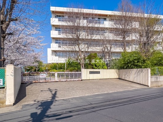 apartment 埼玉県さいたま市見沼区東大宮５丁目31-9 NYビル